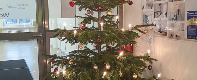 Weihnachtsbaum