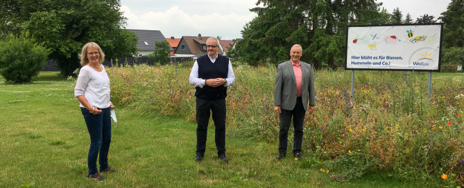 Blumenwiese 2021 Besuch Frank Oesterhelweg